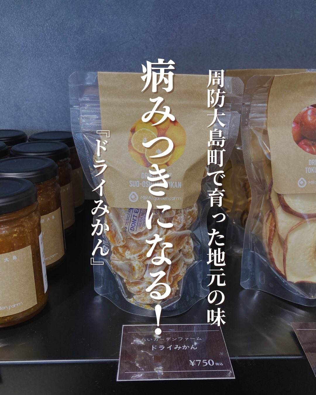 周防大島町・ないだ農園さんのみかんをじっくり乾燥させて出来上がった「MIRAI garden farm」さんのドライフルーツ。水分を飛ばすことで、美味しさがギュッと凝縮されていて添加物を使わない自然な甘みと酸味を味わえますきっと、一粒食べたらやみつきになるみかんのドライフルーツを一度召し上がってみてください️▼ご購入はちほ活まで @chihokatsu_tokuyamadeck▼詳細はこちら@miraigardenfarm #ちほ活 #徳山デッキ #周南市 #山口県 #ドライみかん